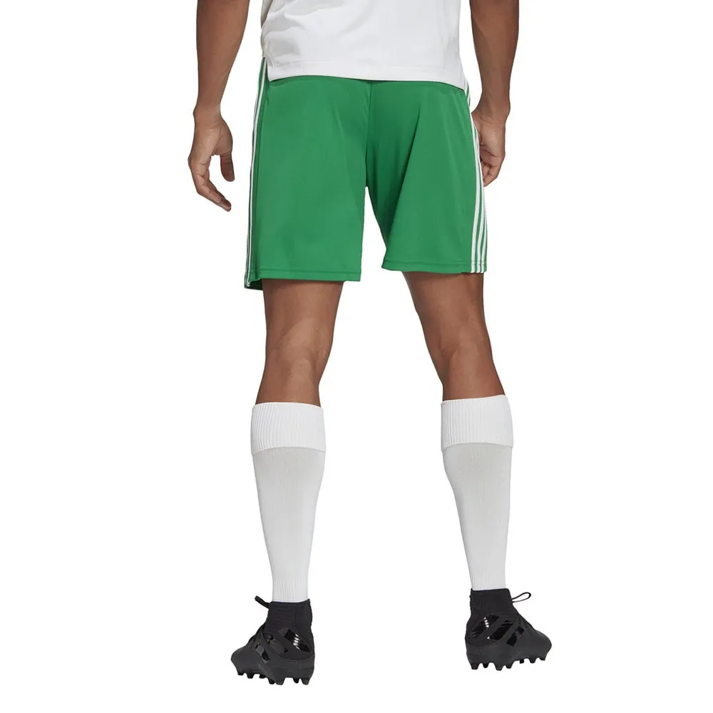 ADIDAS Pantaloncini Calcio Squadra 21 Verde Bianco Uomo