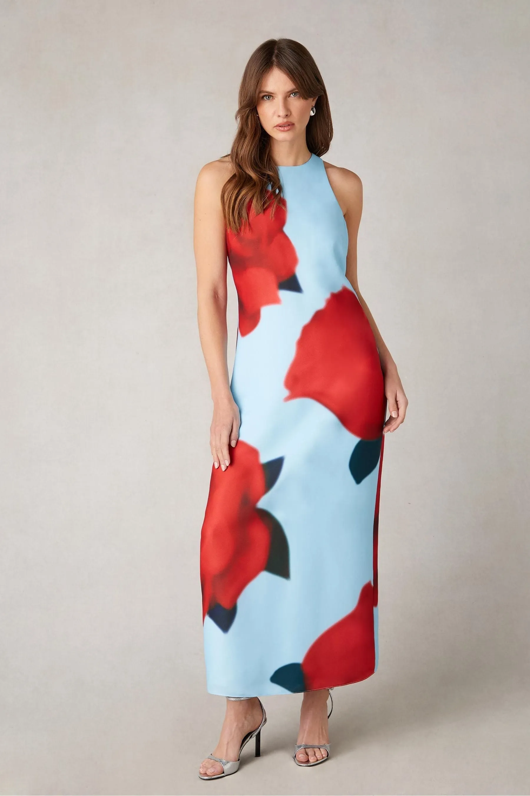 Ro&Zo Blue - Camilla Red Rose Print Racer Dress