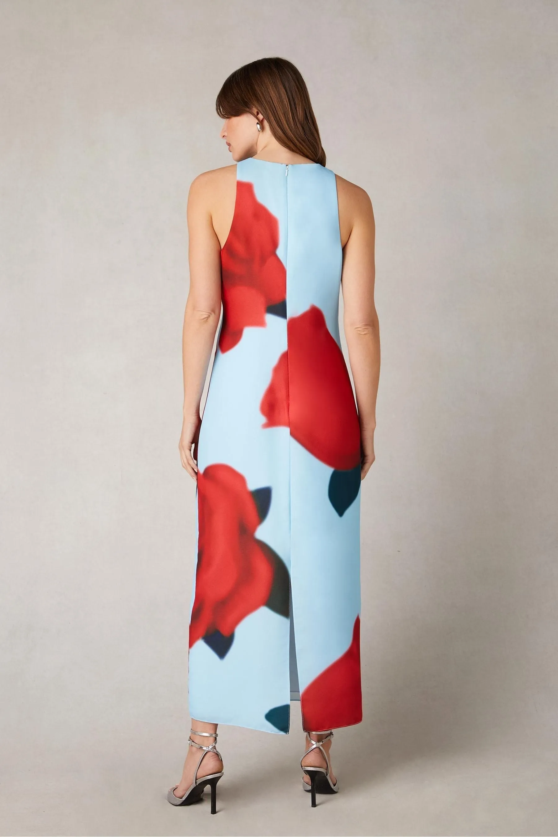 Ro&Zo Blue - Camilla Red Rose Print Racer Dress